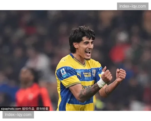 特罗伊洛头球破门经VAR确认有效，帕尔马客场绝杀